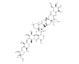 Platycodin D (PD)