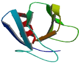 Pleckstrin And Sec7 Domain Containing Protein 2 (PSD2)