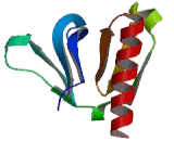 Pleckstrin Homology Domain Containing Family A, Member 1 (PLEKHA1)