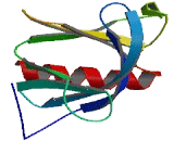 Pleckstrin Homology Domain Containing Family A, Member 4 (PLEKHA4)