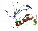 Pleckstrin Homology Domain Containing Family A, Member 5 (PLEKHA5)