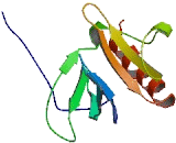 Pleckstrin Homology Domain Containing Family A, Member 6 (PLEKHA6)