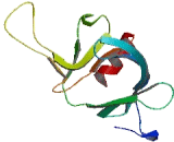 Pleckstrin Homology Domain Containing Family A, Member 7 (PLEKHA7)