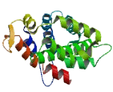 Pleckstrin Homology Domain Containing Family A, Member 9 (PLEKHA9)