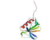 Pleckstrin Homology Domain Containing Family B, Member 1 (PLEKHB1)