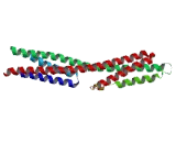 Pleckstrin Homology Domain Containing Family D, Member 1 (PLEKHD1)