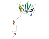 Pleckstrin Homology Domain Containing Family F, Member 1 (PLEKHF1)