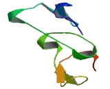 Pleckstrin Homology Domain Containing Family F, Member 2 (PLEKHF2)