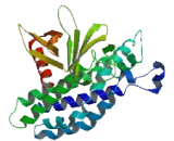 Pleckstrin Homology Domain Containing Family G, Member 1 (PLEKHG1)