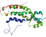 Pleckstrin Homology Domain Containing Family G, Member 2 (PLEKHG2)