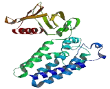 Pleckstrin Homology Domain Containing Family G, Member 3 (PLEKHG3)