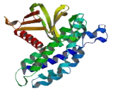 Pleckstrin Homology Domain Containing Family G, Member 4 (PLEKHG4)