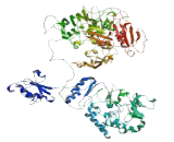 Pleckstrin Homology Domain Containing Family G, Member 4B (PLEKHG4B)