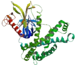 Pleckstrin Homology Domain Containing Family G, Member 6 (PLEKHG6)