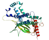 Pleckstrin Homology Domain Containing Family G, Member 7 (PLEKHG7)