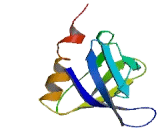 Pleckstrin Homology Domain Containing Family H, Member 1 (PLEKHH1)