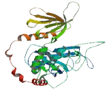 Pleckstrin Homology Domain Containing Family H, Member 3 (PLEKHH3)