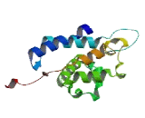 Pleckstrin Homology Domain Containing Family M, Member 1 (PLEKHM1)