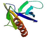 Pleckstrin Homology Domain Containing Family M, Member 2 (PLEKHM2)