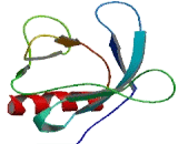 Pleckstrin Homology Domain Containing Family N, Member 1 (PLEKHN1)