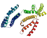 Pleckstrin Homology Domain Containing Family O, Member 1 (PLEKHO1)