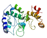 Pleckstrin Homology Domain Containing Family O, Member 2 (PLEKHO2)