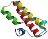 Pleckstrin Homology Domain Interacting Protein (PHIP)