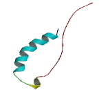 Pleckstrin Homology Like Domain Family A, Member 1 (PHLDA1)