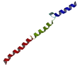 Pleckstrin Homology Like Domain Family B, Member 1 (PHLDB1)