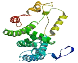 Pleckstrin Homology Like Domain Family B, Member 3 (PHLDB3)