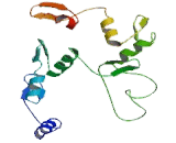 Pleiomorphic Adenoma Gene 1 (PLAG1)