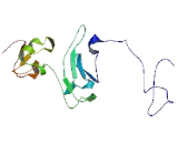 Plexin Domain Containing Protein 2 (PLXDC2)