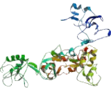 Podocalyxin Like Protein 2 (PODXL2)