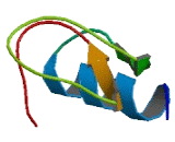 Poliovirus Receptor Related Immunoglobulin Domain Containing Protein (PVRIG)