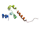 Poly A Binding Protein Cytoplasmic 3 (PABPC3)