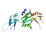 Poly A Binding Protein Cytoplasmic 4 Like Protein (PABPC4L)