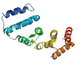 Poly A Binding Protein Interacting Protein 1 (PAIP1)