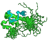 Poly A Binding Protein Interacting Protein 2 (PAIP2)