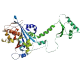 Poly A Specific Ribonuclease (PARN)