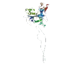 Poly A Specific Ribonuclease Like Domain Containing Protein 1 (PNLDC1)