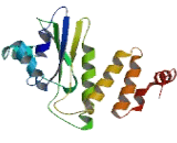 Poly ADP Ribose Polymerase 14 (PARP14)