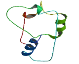 Poly ADP Ribose Polymerase 16 (PARP16)