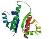 Poly/rC Binding Protein 2 (PCBP2)