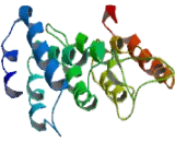 Polyamine Modulated Factor 1 (PMF1)