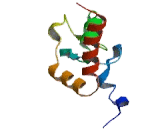 Polycomb Group Ring Finger Protein 1 (PCGF1)