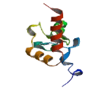 Polycomb Group Ring Finger Protein 3 (PCGF3)