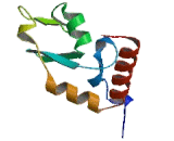 Polycomb Group Ring Finger Protein 4 (PCGF4)