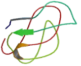 Polycystic Kidney And Hepatic Disease 1 Protein (PKHD1)