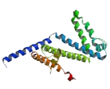 Polycystic Kidney Disease 2 Like Protein 2 (PKD2L2)