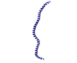 Polycystic Kidney Disease 2 Protein (PKD2)